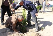 گزارش تصویری مراسم روز درخت کاری و تقدیر از نیروهای باغبانی دانشگاه